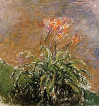 Claude Oscar Monet : Hamerocallis